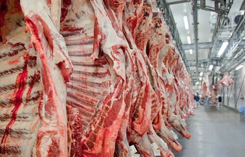 Exportações totais de carne bovina caem 29% na receita e 16% no volume, em fevereiro