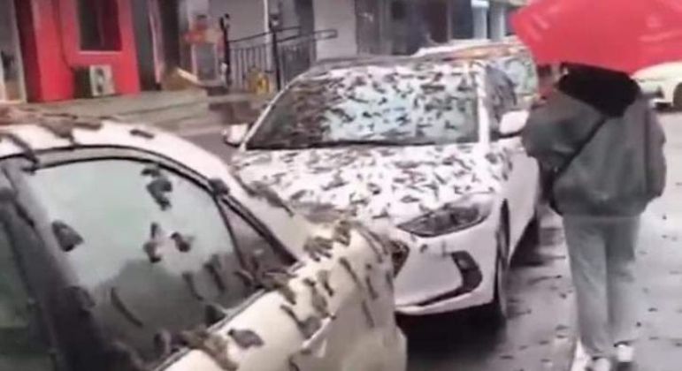 ‘Chuva de vermes’ cai sobre carros na China e vídeo assusta a internet