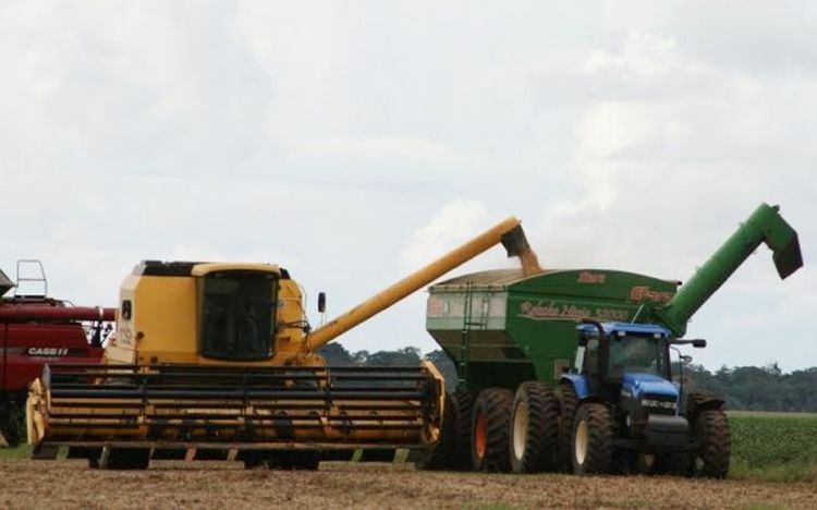 Rondônia mantém produtividade dentro da média nacional mesmo com reflexos do El Niño afetando o desenvolvimento da soja