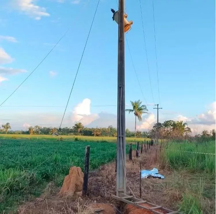 Três homens morrem eletrocutados em menos de 72 horas durante manutenção em redes de energia em Rondônia