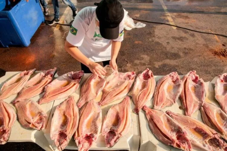 Para fortalecer as exportações, Governo de Rondônia apresenta Tambaqui nos Estados Unidos da América