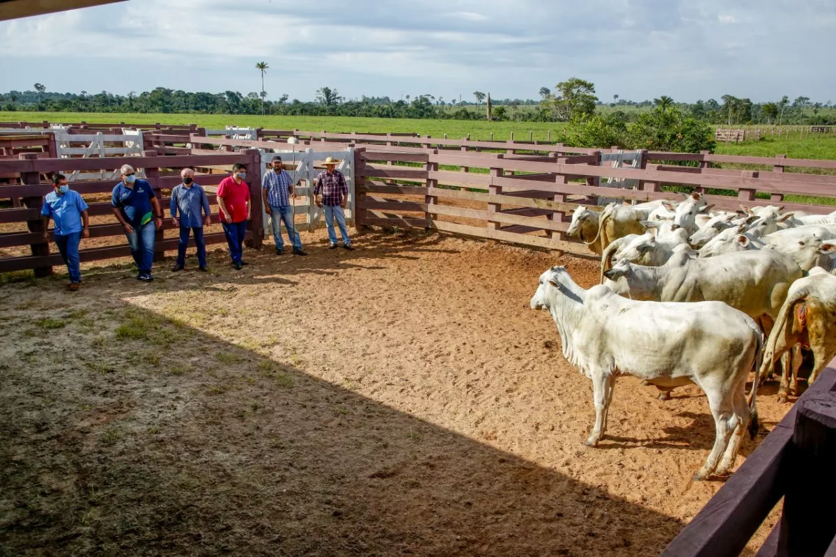 Governo de RO realiza ações de controle e prevenção da raiva em mais de 780 propriedades rurais de Colorado do Oeste