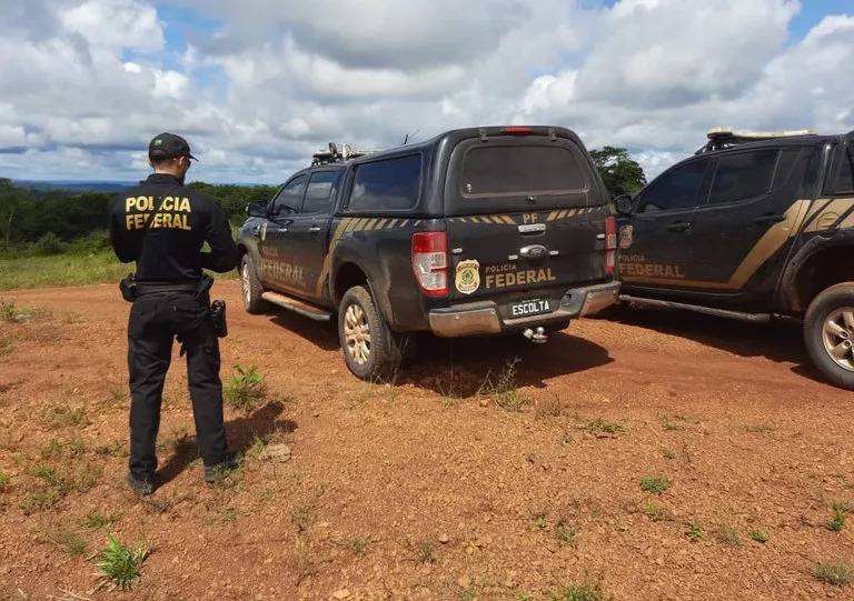 PF intensifica ações de combate ao comércio ilegal de madeiras extraídas de terras indígenas em Rondônia