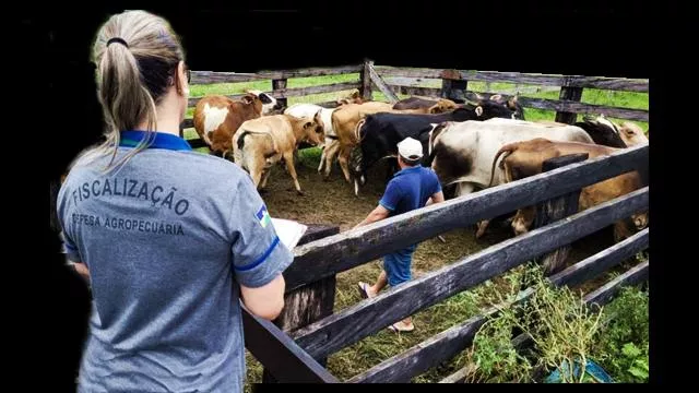 Sindicato decide neste sábado se a Idaron entra em greve