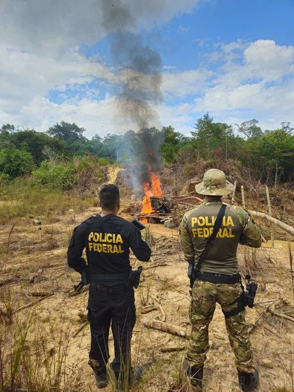 PF combate crimes ambientais na Terra Indígena Roosevelt e no Parque Aripuanã