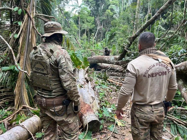 PF deflagra operação para combate a crimes na Terra Indígena Igarapé Laje