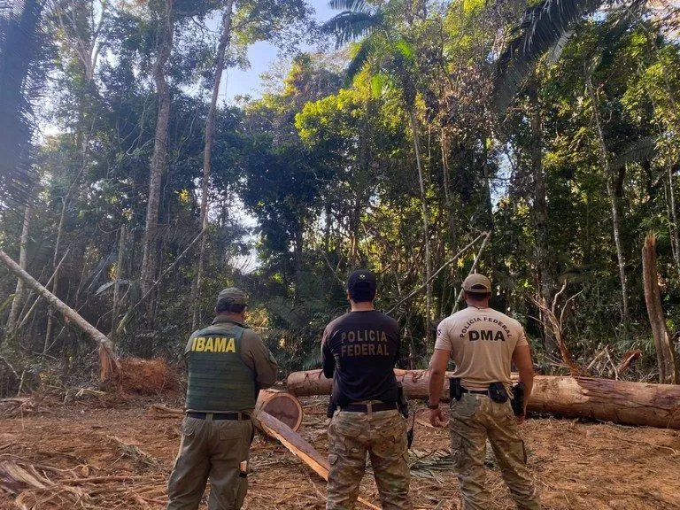 Polícia Federal identifica crimes ambientais na Terra Indígena 7 de Setembro