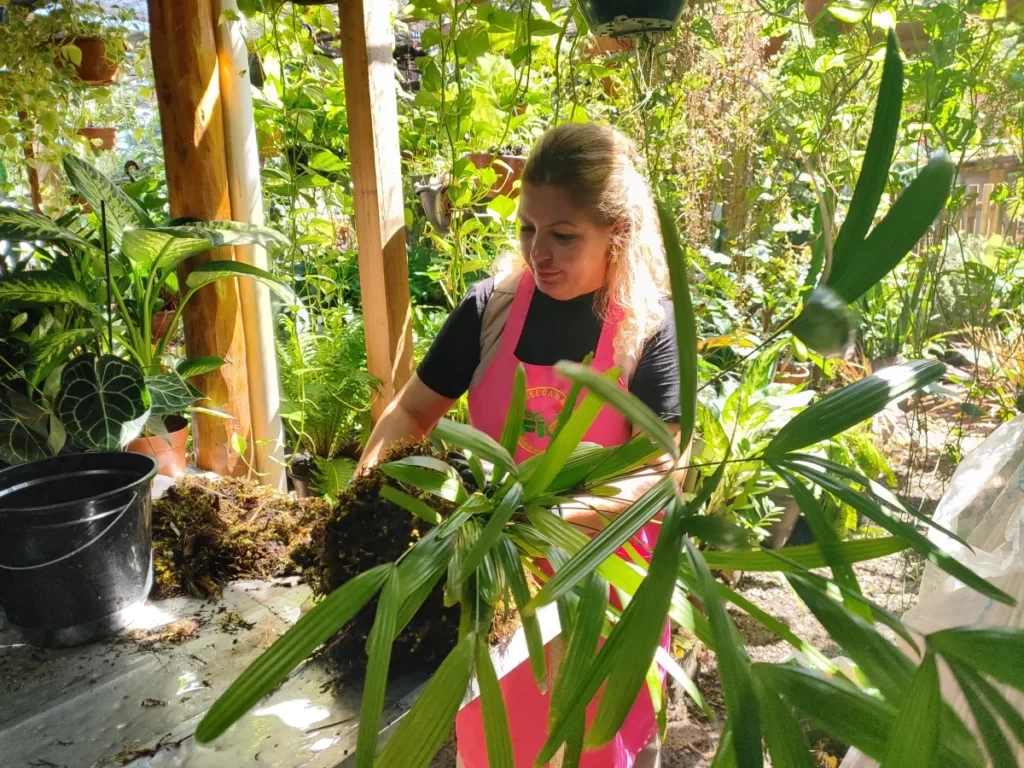 Cura para a depressão torna-se excelente opção de negócio no interior de Rondônia